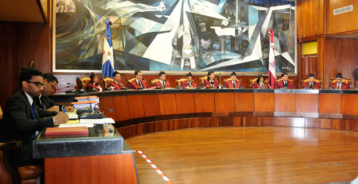 Tribunal Constitucional conoce en audiencia pública diez expedientes de acción directa de inconstitucionalidad