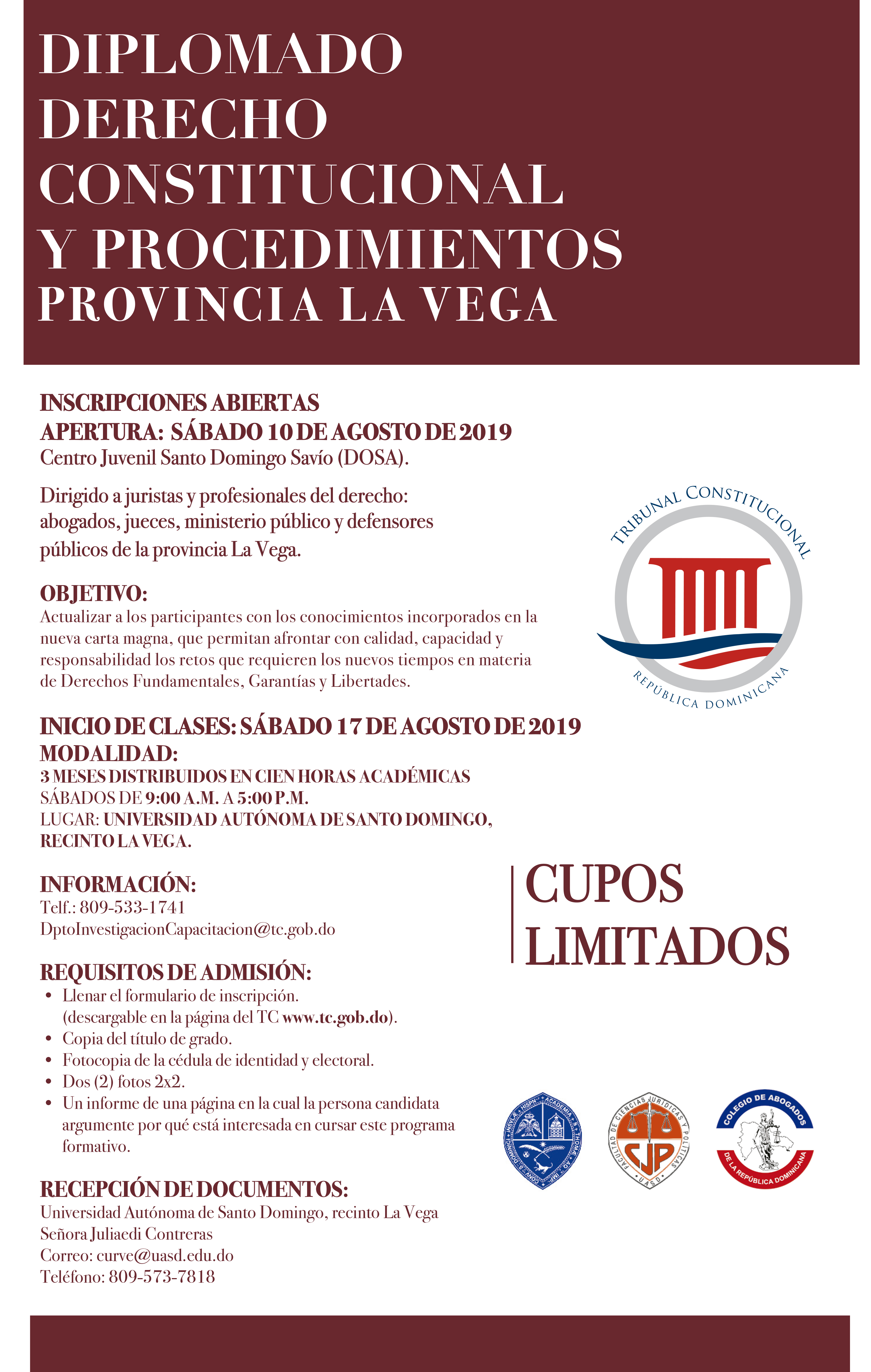 Imagen de Diplomado Derecho Constitucional y Procedimientos  en La Vega