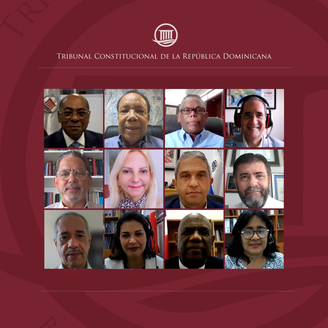 Tribunal Constitucional decide sobre 21 expedientes