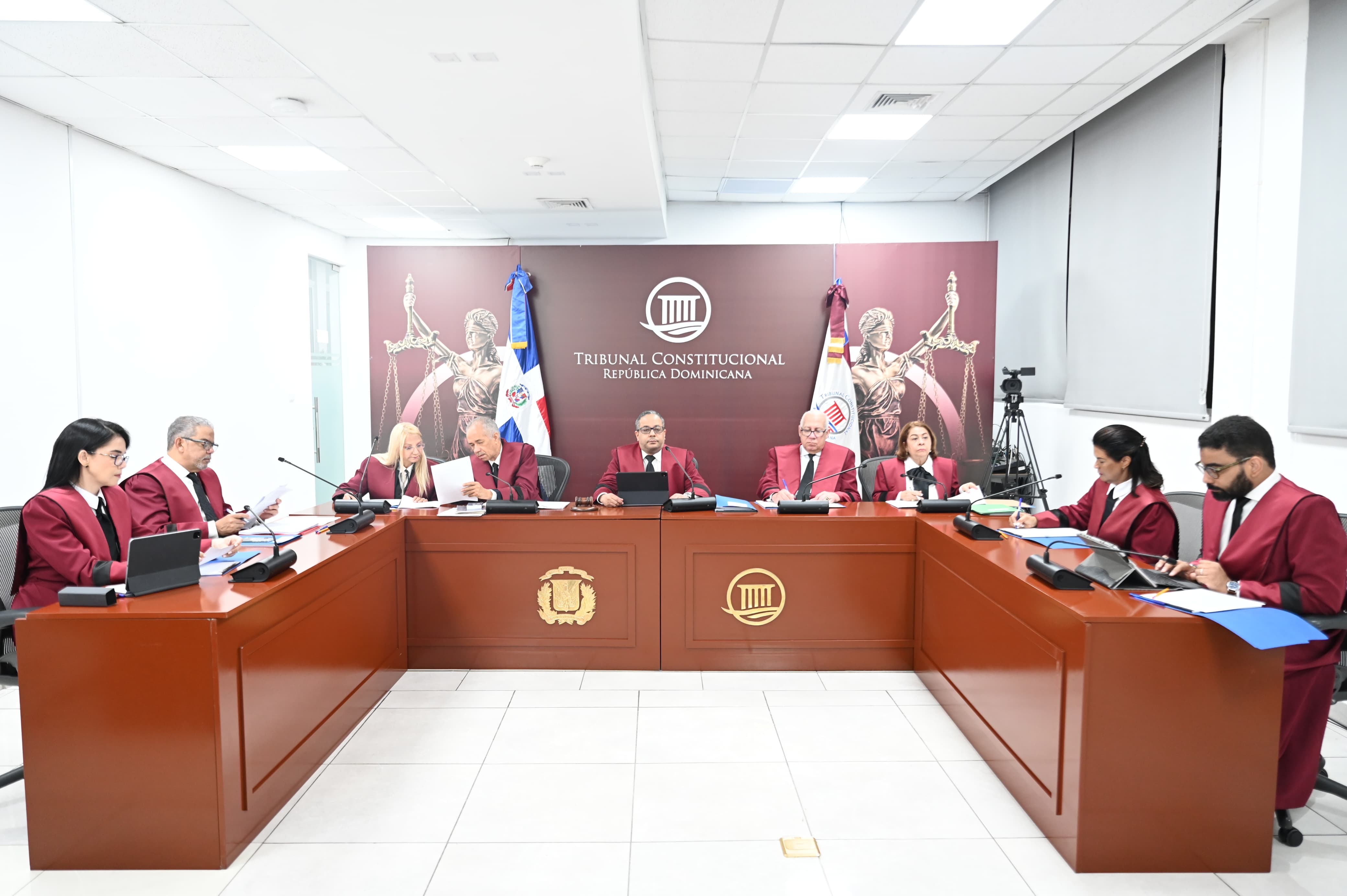 TC deja en estado de fallo diez expedientes de acción directa de inconstitucionalidad y aplaza conocimiento de uno